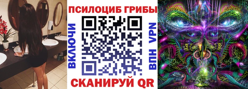 Купить  Строитель  Галлюциногенные грибы Magic Shrooms 