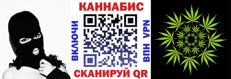 Купить  Строитель  Конопля сатива 